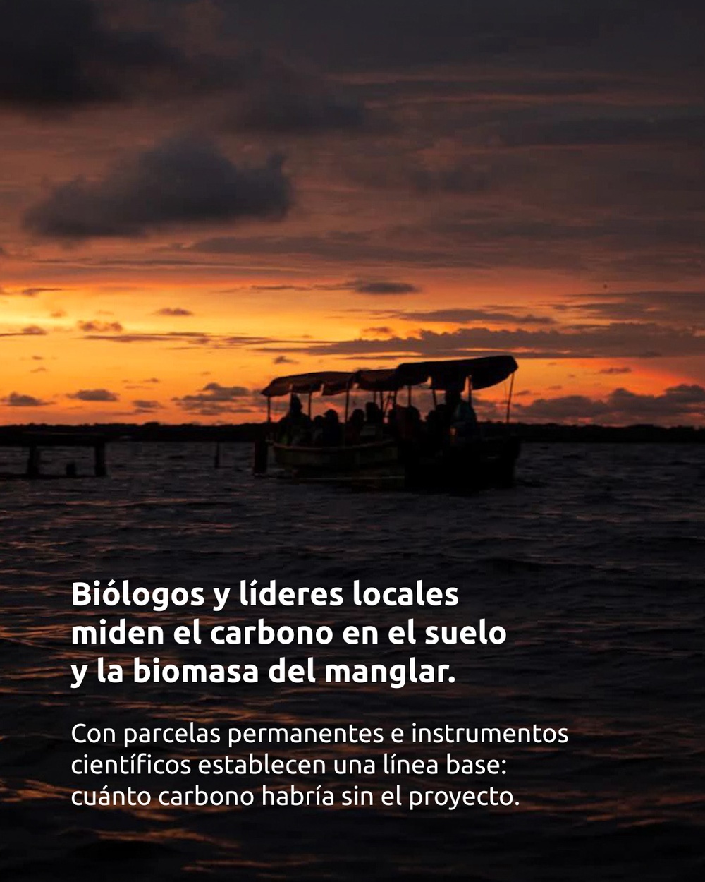 Slide 3 infografía 2